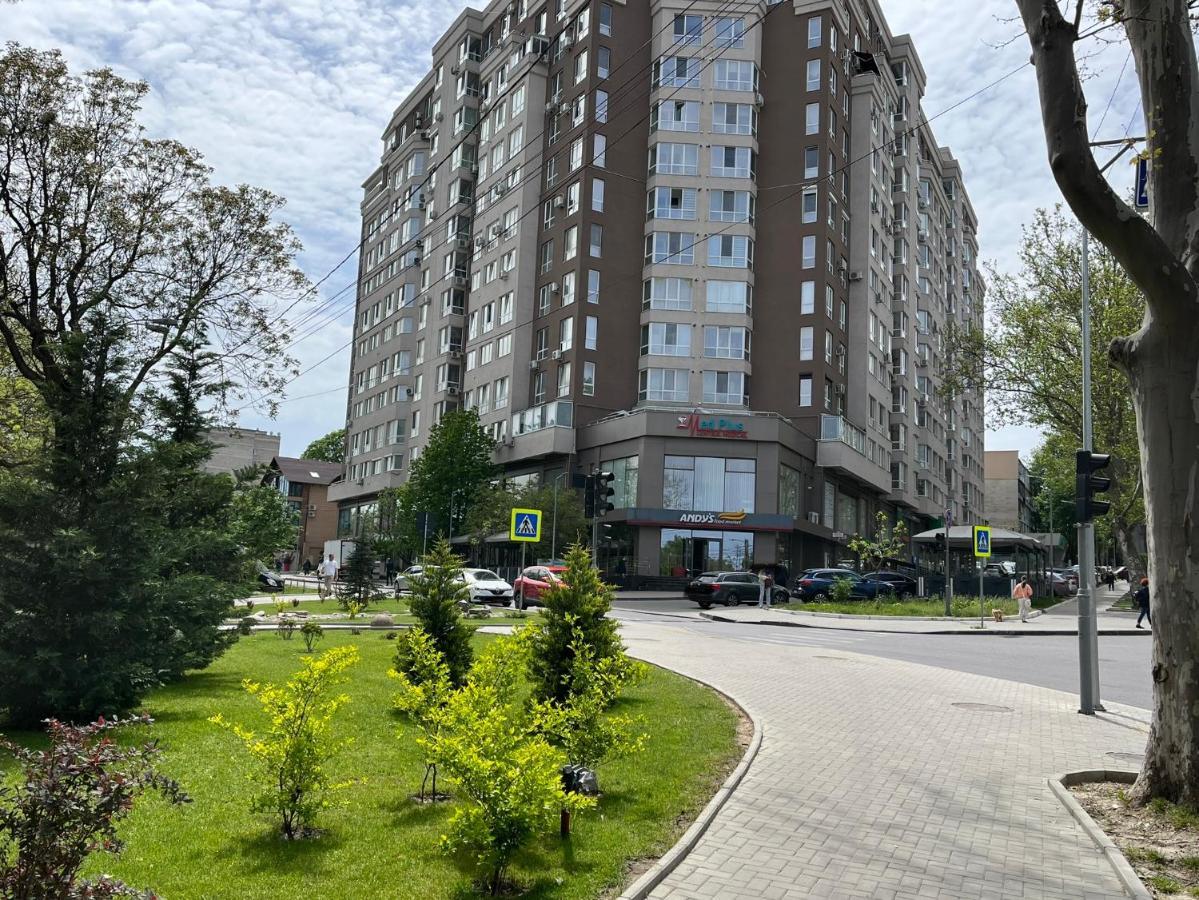 Dendrarium Park Apartment 基希讷乌 外观 照片